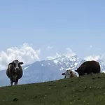 شاليه Garden A2 Walchen-kaprun *