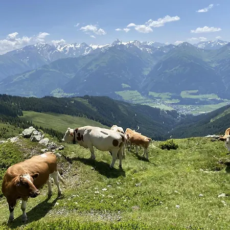 Garden A2 Walchen-kaprun Chalet